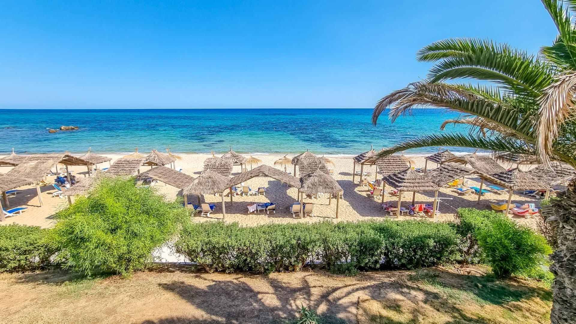 Last minute Hammamet
