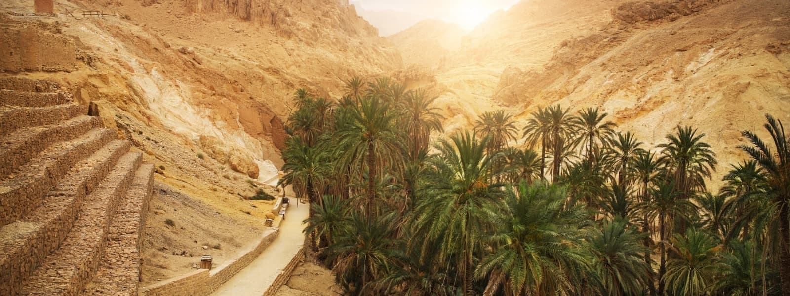 Natuur & landschappen in Tunesië: een verrassend gevarieerd land