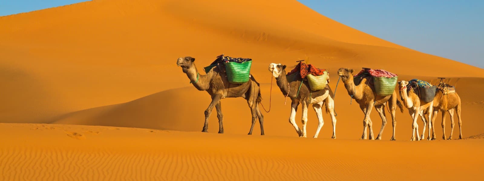De Sahara in Tunesië: wat je moet weten en zien