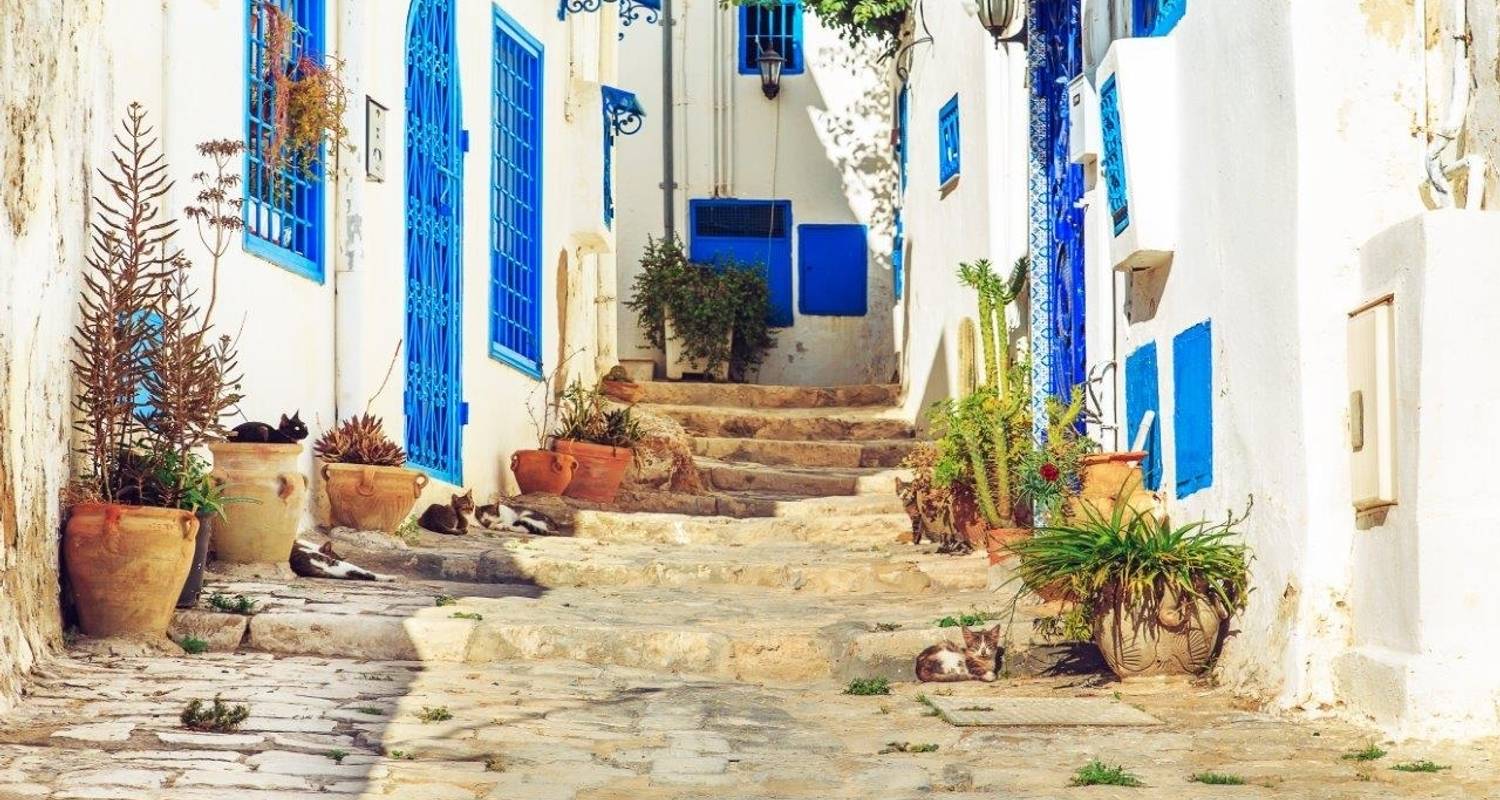 8-daagse rondreis Indrukwekkend Tunesië, kleine groepsreis