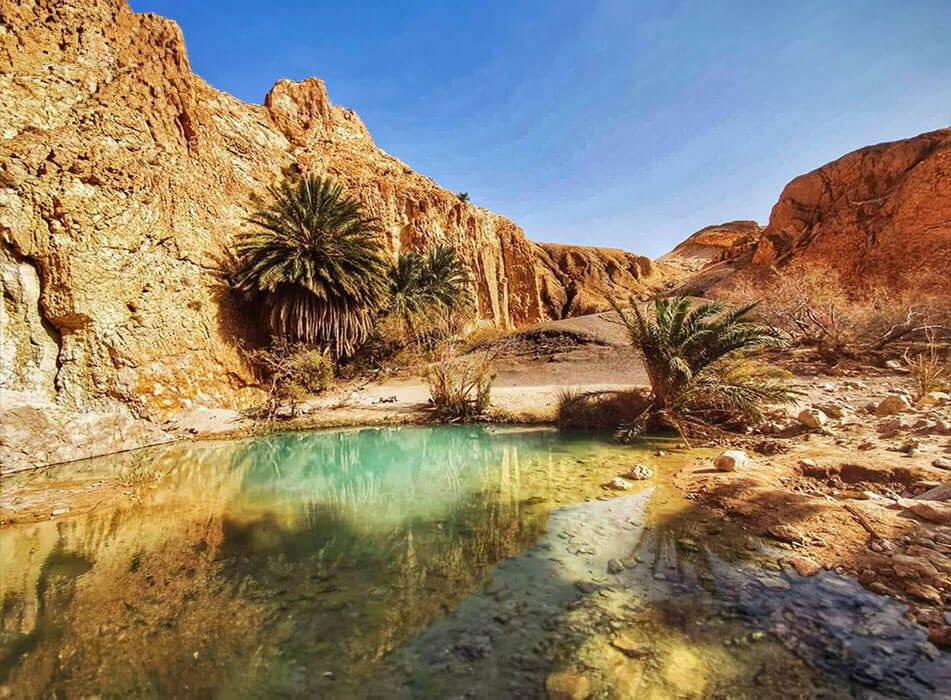 Een reis door oases en woestijnavontuur